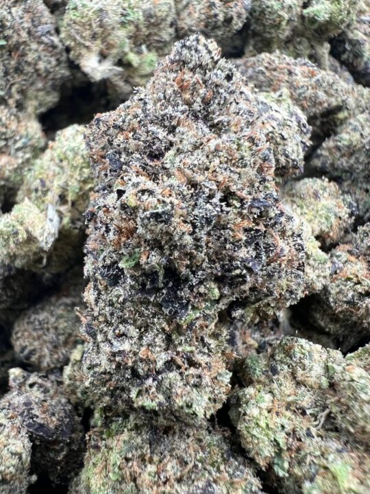 Album media 1 of 2